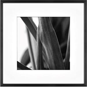 MCS Gallery Wall Frame, Black, 12 x 12 in matted to 8 x 8 in MCS Gallery Wall Frame, Black, 12 x 12 in matted to 8 x 8 in
