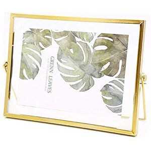 Leoyoubei Floating Glass Frame,Vintage Style and Glass Photo Frame Collection Metal Geometric Picture Frame,Double Glass,Metal Desk Vertical Frame 5x7 to 6x8 Photo Display (Horizontal-Gold) Leoyoubei Floating Glass Frame,Vintage Style and Glass Photo Frame Collection Metal Geometric Picture Frame,Double Glass,Metal Desk Vertical Frame 5x7 to 6x8 Photo Display (Horizontal-Gold)