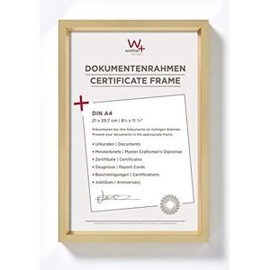 walther design Picture Frame Gold 21 x 29.7 cm (DIN A4) with PassepArtout, Steel Style Plastic Frame ES130G walther design Picture Frame Gold 21 x 29.7 cm (DIN A4) with PassepArtout, Steel Style Plastic Frame ES130G