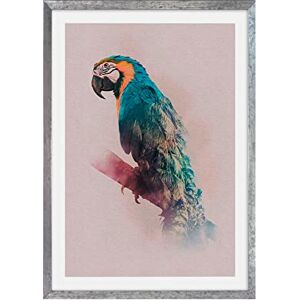 Komar Wooden Picture Frame Stone Silver with Art Poster Animals Paradise Parrot as a Set Size: 50 x 70 cm Wall Picture, Decoration, Parrot, Bird Komar Wooden Picture Frame Stone Silver with Art Poster Animals Paradise Parrot as a Set Size: 50 x 70 cm Wall Picture, Decoration, Parrot, Bird