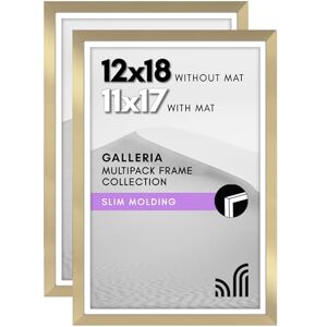 Americanflat 12x18 Poster Frame with Polished Plexiglass Set of 2 Use as 11x17 Frame with Mat or 12x18 Frame Without Mat Galleria Collection Gallery Wall Frame Set for Wall Display Gold Americanflat 12x18 Poster Frame with Polished Plexiglass Set of 2 Use as 11x17 Frame with Mat or 12x18 Frame Without Mat Galleria Collection Gallery Wall Frame Set for Wall Display Gold