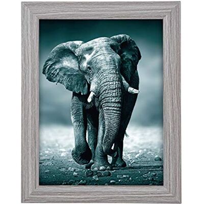 Goldbuch 92 0743 Toscana - Wooden MDF Photo Frame - Gray - Photo Type Goldbuch 92 0743 Toscana - Wooden MDF Photo Frame - Gray - Photo Type