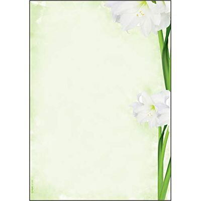 Sigel DP463 Writing paper "Amaryllis", A4, 90 gsm, 25 sheets Sigel DP463 Writing paper "Amaryllis", A4, 90 gsm, 25 sheets
