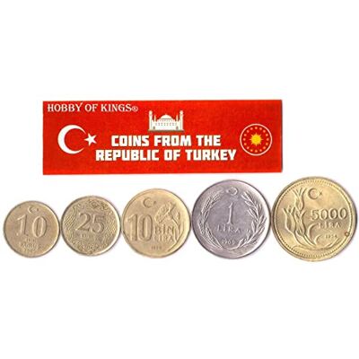 Hobby of Kings 5 Turkey Coins from the Middle East Old Collectible Turkish Cash Lot Perfect Choice For Your Coin Bank, Holders And Collection Album Hobby of Kings 5 Turkey Coins from the Middle East Old Collectible Turkish Cash Lot Perfect Choice For Your Coin Bank, Holders And Collection Album