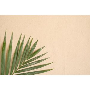 A.S. Création Wallpaper Seaside 3,75 m x 2,50 m WALLLOVE Wallpaper Nature in Beige, Green incl. Glue DD129606 A.S. Création Wallpaper Seaside 3,75 m x 2,50 m WALLLOVE Wallpaper Nature in Beige, Green incl. Glue DD129606