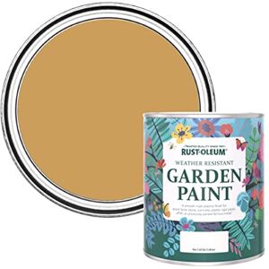 Rust-Oleum 750ml Watercolour Garden Paint Dijon, Yellow Mould Resistant, Matte Finish, Exterior, Adults Rust-Oleum 750ml Watercolour Garden Paint Dijon, Yellow Mould Resistant, Matte Finish, Exterior, Adults