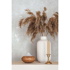 Marburg Wallpaper White Grey Concrete Look Plain Structure Modern for Living Room Bedroom Kitchen 10.05 x 0.53 cm Marburg Wallpaper White Grey Concrete Look Plain Structure Modern for Living Room Bedroom Kitchen 10.05 x 0.53 cm