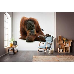 Komar NGX6-002 National Geographic Vlies Fototapete von Oran Uthan-Größe 300 x 280 cm-Tapete, Wanddekoration, Tierporträt, Tierbild, AFFE, Wohnzimmer Photographic Wallpaper, Brown, White, 3W x 2.8L m Komar NGX6-002 National Geographic Vlies Fototapete von Oran Uthan-Größe 300 x 280 cm-Tapete, Wanddekoration, Tierporträt, Tierbild, AFFE, Wohnzimmer Photographic Wallpaper, Brown, White, 3W x 2.8L m