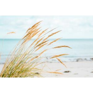 A.S. Création Wallpaper Sand Dunes 3,75 m x 2,50 m WALLLOVE Wallpaper Beach Beige, incl. Glue Blue DD129607 A.S. Création Wallpaper Sand Dunes 3,75 m x 2,50 m WALLLOVE Wallpaper Beach Beige, incl. Glue Blue DD129607