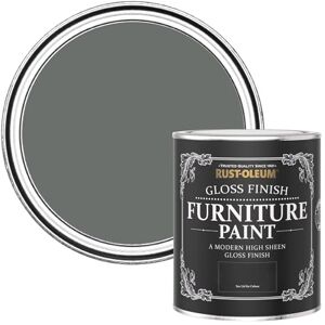 Rust-Oleum Furniture Paint in Gloss Finish Ouseburn 750ml Rust-Oleum Furniture Paint in Gloss Finish Ouseburn 750ml