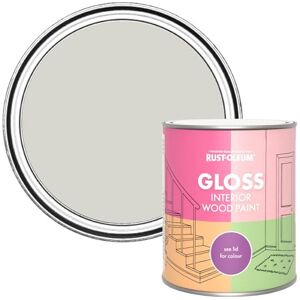 Rust-Oleum Grey Interior Wood Paint in Gloss Finish Bare Birch 750ml Rust-Oleum Grey Interior Wood Paint in Gloss Finish Bare Birch 750ml