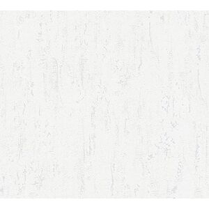 A.S. Création Vliestapete Beton Concrete & More Tapete in Vintage Beton Optik 10, 05 m x 0, 53 m Grau Made in Germany 364302 3643-02 A.S. Création Vliestapete Beton Concrete & More Tapete in Vintage Beton Optik 10, 05 m x 0, 53 m Grau Made in Germany 364302 3643-02