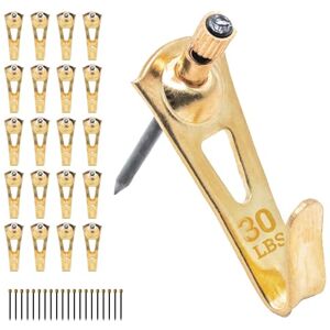 Picture Hang Solutions Plaster Picture Hangers 30 lbs 25 Pack Picture Hanging Nails Picture Hanging Hooks Picture Hang Solutions Plaster Picture Hangers 30 lbs 25 Pack Picture Hanging Nails Picture Hanging Hooks