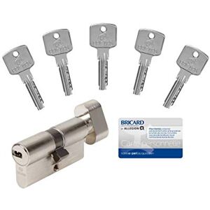 Bricard A6 30 x 30 Lock Cylinder - Secure Button & 5 Keys Bricard A6 30 x 30 Lock Cylinder - Secure Button & 5 Keys