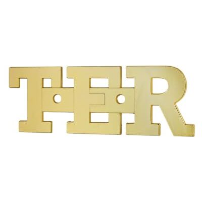 Thirard FABRICANT DE SECURITE DEPUIS 1963 00967123 Letters Height 51 mm Wall Plate with Signs-TER-Accessories Door Equipment-Screw-On Version, Gold Thirard FABRICANT DE SECURITE DEPUIS 1963 00967123 Letters Height 51 mm Wall Plate with Signs-TER-Accessories Door Equipment-Screw-On Version, Gold