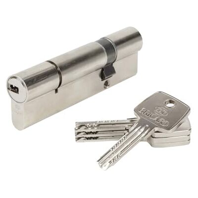 Bricard 17156 Astral 2.9 Brass Cylinder with 10 Pistons, 2 Inputs 30 + 70, Protects Against Drilling and Picking. Personal Card, Nickel-Plated Steel, 100 Bricard 17156 Astral 2.9 Brass Cylinder with 10 Pistons, 2 Inputs 30 + 70, Protects Against Drilling and Picking. Personal Card, Nickel-Plated Steel, 100