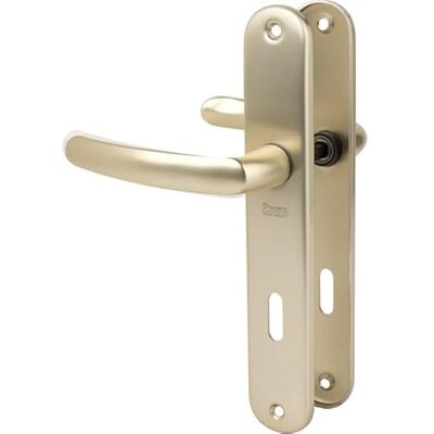 BEZAULT SAS - Set di porte economiche bezault Interasse 195 mm Chiave l - Champagne - Door Lock Set BEZAULT SAS - Set di porte economiche bezault Interasse 195 mm Chiave l - Champagne - Door Lock Set