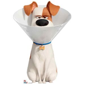 STAR CUTOUTS SC1383 Max the Dog wearing a Cone Collar Lifesize Cardboard Cutout/Standee/Standup Height 92cm Width 67cm Perfect for fans, collectors and events STAR CUTOUTS SC1383 Max the Dog wearing a Cone Collar Lifesize Cardboard Cutout/Standee/Standup Height 92cm Width 67cm Perfect for fans, collectors and events