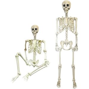 SHATCHI Halloween Decoration Life Size Poseable Skeleton 165cm – Realistic Human Skeleton Prop with Movable Joints -Haunted House Graveyard Scene Halloween Pirate Horror Themed Parties SHATCHI Halloween Decoration Life Size Poseable Skeleton 165cm – Realistic Human Skeleton Prop with Movable Joints -Haunted House Graveyard Scene Halloween Pirate Horror Themed Parties