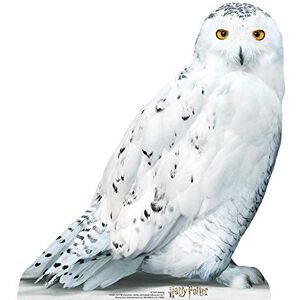 STAR CUTOUTS SC1476 Hedwig Small Lifesize Cardboard Cutout – Official Harry Potter Display for Parties, Bedrooms & Gifts – 74cm Tall STAR CUTOUTS SC1476 Hedwig Small Lifesize Cardboard Cutout – Official Harry Potter Display for Parties, Bedrooms & Gifts – 74cm Tall