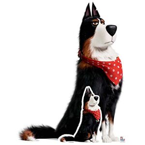 STAR CUTOUTS Ltd SC1377 Rooster Sheepdog Secret Life of Pets Lifesize Cardboard Cutout/Standee/Standup Height 127cm Width 99cm Perfect for Fans, Collectors and Events, Multicolour STAR CUTOUTS Ltd SC1377 Rooster Sheepdog Secret Life of Pets Lifesize Cardboard Cutout/Standee/Standup Height 127cm Width 99cm Perfect for Fans, Collectors and Events, Multicolour
