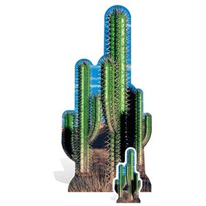 STAR CUTOUTS Cut Out of Cactus Group STAR CUTOUTS Cut Out of Cactus Group