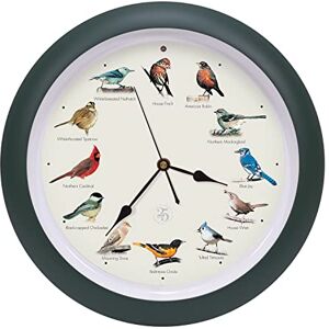 Mark Feldstein & Associates The Original Singing Bird Clock 25th Anniversary Edition, As Seen On TV (13 Inch, Matte Green) Mark Feldstein & Associates The Original Singing Bird Clock 25th Anniversary Edition, As Seen On TV (13 Inch, Matte Green)