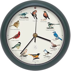 Mark Feldstein & Associates Mark Feldstein The Original Singing Bird Clock 25th Anniversary Edition (8 Inch, Green) Mark Feldstein & Associates Mark Feldstein The Original Singing Bird Clock 25th Anniversary Edition (8 Inch, Green)