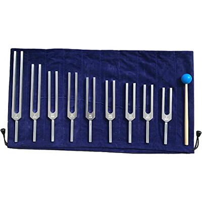 FSHANEE 9 Packs Solfeggio Tuning Forks Set (Silver), Chakra Forks for Balancing, Sound Healing, DNA Repair, Mind Body Therapy Tuner, Vibration (174Hz, 285Hz, 396Hz, 417Hz, 528Hz, 639Hz, 741Hz, 852Hz, 963Hz) FSHANEE 9 Packs Solfeggio Tuning Forks Set (Silver), Chakra Forks for Balancing, Sound Healing, DNA Repair, Mind Body Therapy Tuner, Vibration (174Hz, 285Hz, 396Hz, 417Hz, 528Hz, 639Hz, 741Hz, 852Hz, 963Hz)