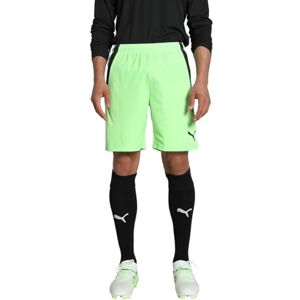 Puma TeamLIGA Shorts Brand Shorts Puma TeamLIGA Shorts Brand Shorts