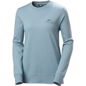 Helly Hansen Womens W Nord Graphic Sweatshirt, Windy Blue, XS Helly Hansen Womens W Nord Graphic Sweatshirt, Windy Blue, XS
