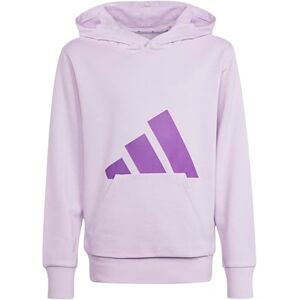 adidas Unisex Kids ESSENTIALS BIG LOGO HOODIE, ice lavender/active purple, 7-8 Years adidas Unisex Kids ESSENTIALS BIG LOGO HOODIE, ice lavender/active purple, 7-8 Years