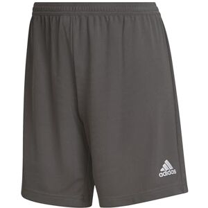adidas Women's Entrada 22 Shorts, Team Grey Four, M adidas Women's Entrada 22 Shorts, Team Grey Four, M