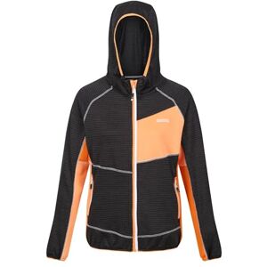 Regatta Women's Attare II Lightweight Softshell Jacket Regatta Women's Attare II Lightweight Softshell Jacket