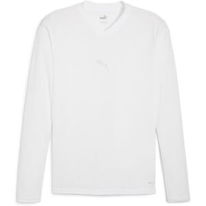 Puma teamGOAL Baselayer Tee LS Puma teamGOAL Baselayer Tee LS