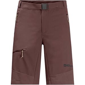 Jack Wolfskin Men's Pull Point Shorts, Atacama Red, 48 (EU) Jack Wolfskin Men's Pull Point Shorts, Atacama Red, 48 (EU)