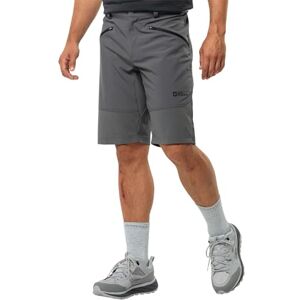 Jack Wolfskin Men's Hiking Alpine Short M, Slate, 46 (EU) Jack Wolfskin Men's Hiking Alpine Short M, Slate, 46 (EU)
