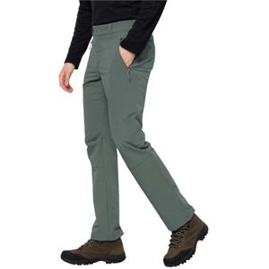 Jack Wolfskin Men's Activate XT Pants M Hiking Trousers, Hedge Green, 98 (EU) Jack Wolfskin Men's Activate XT Pants M Hiking Trousers, Hedge Green, 98 (EU)