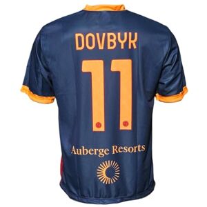 AS Roma Adult Unisex Replica Football Jersey, Blue, XL, V-Neck, Short Sleeve, Regular Fit, Solid Pattern, Extra Large AS Roma Adult Unisex Replica Football Jersey, Blue, XL, V-Neck, Short Sleeve, Regular Fit, Solid Pattern, Extra Large