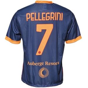 AS Roma Official Replica Jersey Red and Yellow Adult Unisex V-Neck Short Sleeve Regular Fit Small Football Jersey AS Roma Official Replica Jersey Red and Yellow Adult Unisex V-Neck Short Sleeve Regular Fit Small Football Jersey