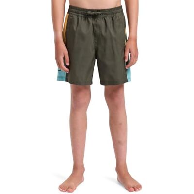 Quiksilver Everyday Holmes Volley 14 Short Swimsuit - Kids Quiksilver Everyday Holmes Volley 14 Short Swimsuit - Kids