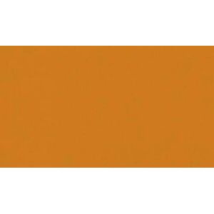 Folia 6176 Terracotta Photo Card, 50 x 70 cm, 300 g/m², 10 Sheets, for Crafts and Creative Design of Cards, Window Pictures and Scrapbooking Folia 6176 Terracotta Photo Card, 50 x 70 cm, 300 g/m², 10 Sheets, for Crafts and Creative Design of Cards, Window Pictures and Scrapbooking