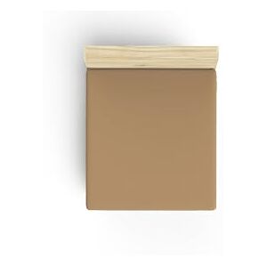 Nuit Des Rêves Premium Ranforce Single Fitted Sheet (90 x 200 + 30 cm), Light Brown, 100% Cotton, 117 g/m², Soft, Durable, Perfect for Cosy Bedrooms & Guest Rooms Nuit Des Rêves Premium Ranforce Single Fitted Sheet (90 x 200 + 30 cm), Light Brown, 100% Cotton, 117 g/m², Soft, Durable, Perfect for Cosy Bedrooms & Guest Rooms