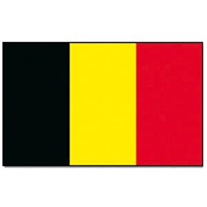 Mil-Tec Unisex Adult Flag – 16722000 – Belgium, One Size Mil-Tec Unisex Adult Flag – 16722000 – Belgium, One Size