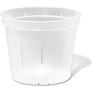 rePotme 6 inch Slotted Plant Pot for Orchids, Succulents, Houseplants 3 Pack Crystal Clear rePotme 6 inch Slotted Plant Pot for Orchids, Succulents, Houseplants 3 Pack Crystal Clear