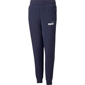 Puma ESS+ 2 Col Logo Pants FL cl B Puma ESS+ 2 Col Logo Pants FL cl B