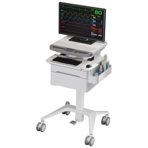 Properav Mobile Workstation Trolley Cart, Height Adjust with Foot Pedal, 2 Storage Drawers, Locking Casters, Keyboard & Mouse Tray for Hospitals, Warehouses, Schools, Airports, Train Stations & more Properav Mobile Workstation Trolley Cart, Height Adjust with Foot Pedal, 2 Storage Drawers, Locking Casters, Keyboard & Mouse Tray for Hospitals, Warehouses, Schools, Airports, Train Stations & more