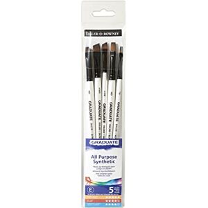 Daler Rowney Daler-Rowney Graduate Multi-Technique Synthetic Hair Brushes with Short Handles Wallet Set, Flats & Shaders, 5 Assorted Brushes, For Students Daler Rowney Daler-Rowney Graduate Multi-Technique Synthetic Hair Brushes with Short Handles Wallet Set, Flats & Shaders, 5 Assorted Brushes, For Students