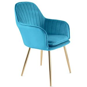 RayGar Genesis Muse Velvet Fabric Tub Chair With Gold Finish Metal Tube Legs (Teal) RayGar Genesis Muse Velvet Fabric Tub Chair With Gold Finish Metal Tube Legs (Teal)