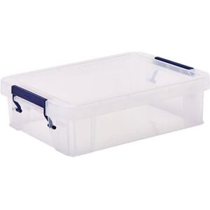 BANKERS BOX Storage Box 2.3L (10 Pack) BPA-Free, Stackable Plastic Organizer with Clip-Lock Lid, Impact-Resistant & Fully Recyclable for Home & Office Supplies BANKERS BOX Storage Box 2.3L (10 Pack) BPA-Free, Stackable Plastic Organizer with Clip-Lock Lid, Impact-Resistant & Fully Recyclable for Home & Office Supplies
